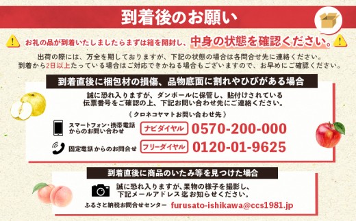 サンふじ 2kg （S規格）5～8玉