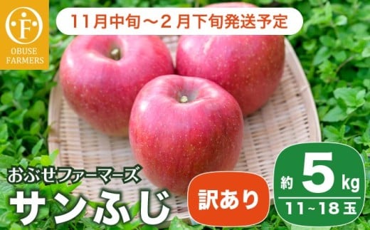【訳あり】 サンふじ 約5kg 11～18玉［おぶせファーマーズ］  不揃い 規格外 家庭用 りんご 林檎 リンゴ 果物 フルーツ ふじ 長野 信州 数量限定 令和7年産 【2025年11月中旬～2026年2月下旬発送】［F-24］ 230475 - 長野県小布施町