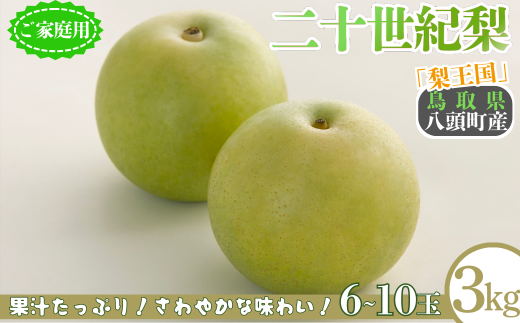 二十世紀梨(家庭用) 3kg「Y's Fa