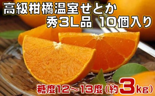 高級 柑橘 温室 せとか 秀3L品 10個入り（約3kg）［1201］