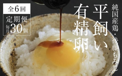 【全6回定期便】平飼い有精卵 30個《西粟倉村》【株式会社点々】t-SS-CnDA 2015318 - 岡山県西粟倉村