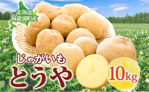 とうや 10kg 2025年9月上旬～12月中旬までお届け ジャガイモ 芋 甘い ホクホク なめらか ポテト カレー 調理 料理 煮込み料理 旬 野菜 お取り寄せ 北海道 洞爺湖町