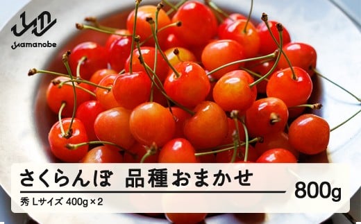 先行予約 さくらんぼ 品種おまかせ 秀品 L玉 400g×2 2026年産 令和8年産 山形県産 mm-saosx800