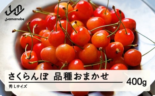 先行予約 さくらんぼ 品種おまかせ 秀品 L玉 400g 2026年産 令和8年産 山形県産 mm-saosx400