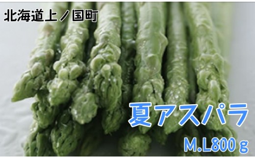 【2026年夏発送】刀祢農園の朝採り夏アスパラ　M～L（800g）　朝採れ　農家直送　新鮮　グリーンアスパラ　夏野菜　旬野菜　シャキシャキ　とれたて　北海道産