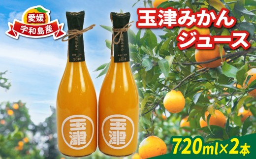 玉津 みかんジュース 温州みかん 720ml× 2本 玉津柑橘倶楽部 先行予約 100%ジュース ストレートジュース ジュース 愛媛みかん 愛媛蜜柑 愛媛ミカン うんしゅう みかん mikan 果物 フルーツ 柑橘 濃厚 甘い 甘味 蜜柑 産地直送 数量限定 国産 愛媛 宇和島 H010-072049 2243237 - 愛媛県宇和島市