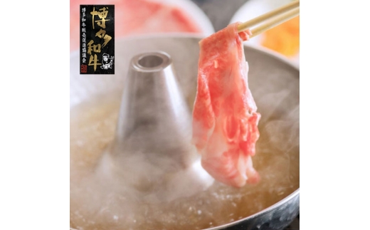 [A4〜A5]博多和牛 特選 しゃぶしゃぶ用 690g (230g×3) 吉富町/株式会社ゼロプラス [BGAA029]