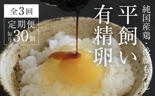 【全3回定期便】平飼い有精卵 30個《西粟倉村》【株式会社点々】t-SS-BnDA 2015319 - 岡山県西粟倉村
