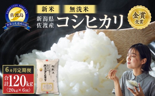 【令和7年産】無洗米20kg 新潟県佐渡産コシヒカリ20kg(5kg×4)×6回「6カ月定期便」 966796 - 新潟県佐渡市