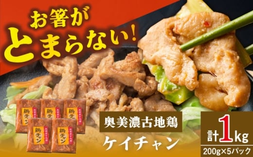 地鶏を使った岐阜県郷土料理「ケイチャン」セット 10人前(200g×5P)/ 鶏 鶏肉 地鶏 郷土料理 小分け / 恵那市 / 中部食産 [AUBW003]
