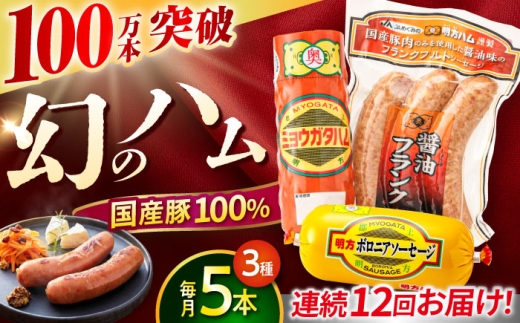 【12回定期便】明方ハム詰め合わせ Ａセット / 明方 ハム 厚切り ボロニアソーセージ ハムステーキ 朝食 フランクフルト ウインナー BBQ ソーセージ フランク 箱入り ギフト / 御嵩町 / めぐみの農業協同組合 [AVBA005]