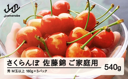 【ふるさと納税】【先行予約】 ご家庭用 さくらんぼ 佐藤錦 秀品 M玉以上 約540g 令和8年産 2026年産 山形県産 フルーツ 果物 tf-snpsm540 2017099 - 山形県山辺町