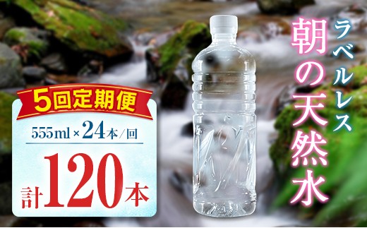 【定期便】 シリカ 朝の天然水 555ml 24本 5回 ラベルレス 中硬水 ミネラルウォーター シリカ水 ケイ素 常温保存 備蓄 防災 宮崎県 霧島連山 2267443 - 宮崎県宮崎県庁