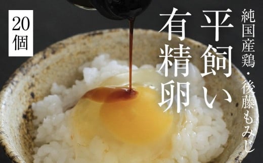 平飼い有精卵 20個《西粟倉村》【株式会社点々】t-SS-AmDA 2015326 - 岡山県西粟倉村