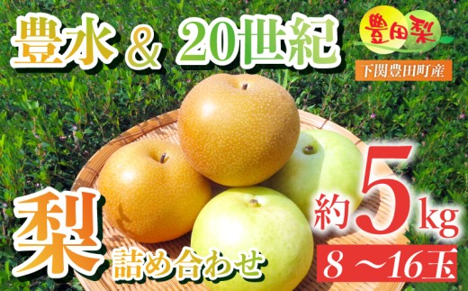梨 5kg セット 8~16玉 なし 二十世紀 20世紀 豊水 詰め合わせ 緩衝材 キャップ 付き フルーツ 果物 期間 限定 8月~9月 豊田の梨 豊田町 山口県産 下関 ギフト 贈答