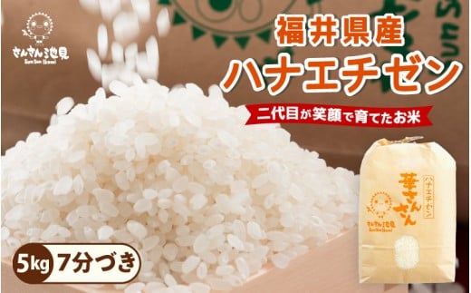 [令和7年産・新米]ハナエチゼン 5kg 華越前 〜坂井市三国町産・こだわりの精米対応〜(7分づき) [A-0255_02]