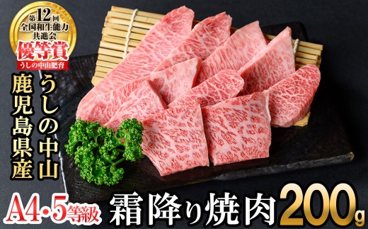 <A4・A5等級>鹿児島県産黒毛和牛 うしの中山 霜降り焼肉用 200g 黒毛和牛 和牛 肉 牛肉 国産 九州産 鹿児島県産 焼肉 霜降り 日本一 a2-113 2239186 - 鹿児島県志布志市