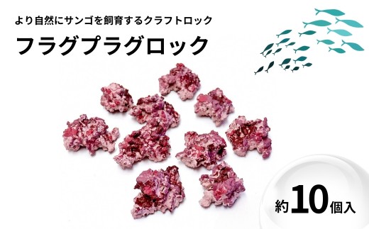 【ハンドメイド】フラグプラグロック 約10個入り サンゴ 海水魚飼育 人工ライブロック 新潟県 出雲崎町 2420738 - 新潟県出雲崎町