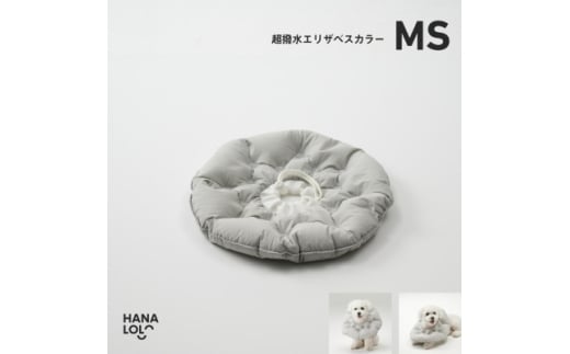 ＜ハナロロ＞エリザベスカラー MS(アッシュグレー)【1645426】 2232824 - 愛知県岡崎市