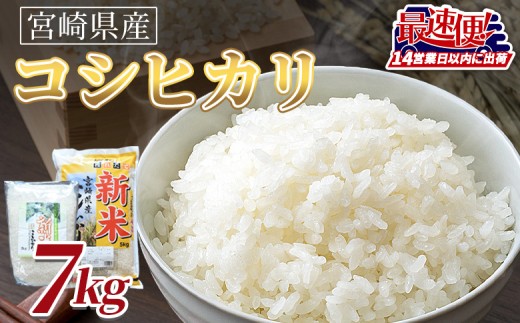 ＜令和7年度産新米　宮崎県産コシヒカリ　7kg＞14営業日以内に順次出荷【 国産 米 お米 最速便 白米 精米 こしひかり ごはん ご飯 白飯 食品 】