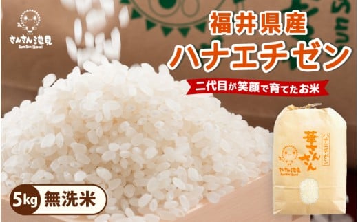 [令和7年産・新米]ハナエチゼン 5kg 華越前 〜坂井市三国町産・こだわりの精米対応〜(無洗米) [A-0255_05]