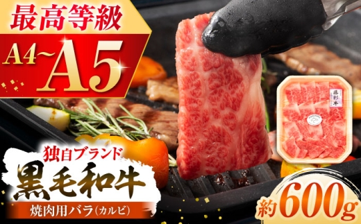 くまもと黒毛和牛「藤彩牛」バラ(カルビ)焼き肉用 約600g 1650[株式会社フジチク][BHAD122]