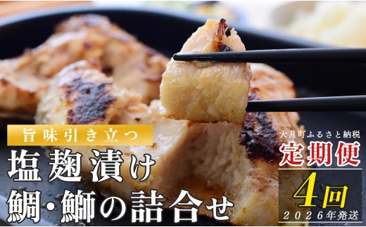 【定期便 4回】塩麹に漬け込んだタイ＆ブリ 2232937 - 高知県大月町