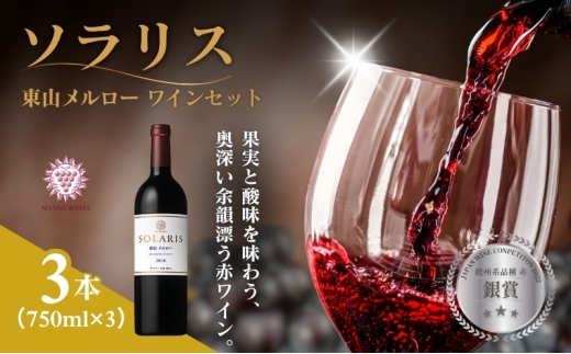 ソラリス 東山メルロー ワインセット 750ml×3本 赤ワイン お酒 ぶどう酒 晩酌 おうちディナー 飲み物 家飲み 宅飲み 果実香 複雑 おだやかな酸味 タンニン[№5915-1639]