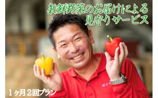 新鮮野菜のお届けによる見守りサービス（１ヶ月２回お届け）  一人暮らし　笑顔と共に　家族愛　見守り　新鮮野菜　　