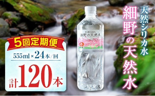 【定期便】 天然シリカ水 細野の天然水 555ml 24本 5回 中硬水 ミネラルウォーター シリカ ケイ素 霧島連山の贈り物 常温保存 備蓄 防災 宮崎県 2267435 - 宮崎県宮崎県庁