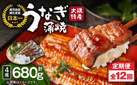 2487 【定期12回】大隅特産うなぎ蒲焼4尾（680g）【国産】　KN060-T11