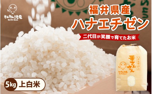 [令和7年産・新米]ハナエチゼン 5kg 華越前 〜坂井市三国町産・こだわりの精米対応〜(上白米) [A-0255_01]