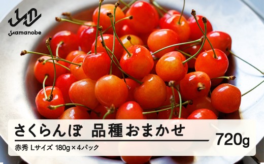 【先行予約】 さくらんぼ 品種おまかせ 赤秀品 L玉 180g×4パック ご家庭用 2026年産 令和8年産 山形県産 mm-saoal720