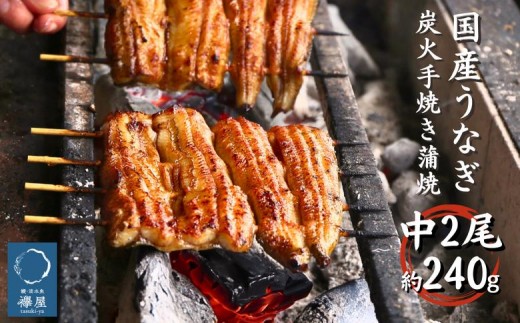 襷屋 国産うなぎ 炭火蒲焼 中2尾(約220g) A-AA-A23A