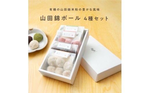 グルテンフリー 山田錦 ボール 【箱入り4種アソート（和三盆/カカオ/抹茶/えちご姫（いちご） ）】 田田田堂 米粉 お菓子 クッキー スイーツ 小麦 乳 卵 白砂糖 不使用 アレルギー 対応 無農薬 米 ビーガン ポルボローネ 568732 - 兵庫県神戸市