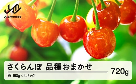 【先行予約】 さくらんぼ 品種おまかせ 秀品 約720g 令和8年産 2026年産 山形県産 フルーツ 果物 tf-saos720 2017103 - 山形県山辺町