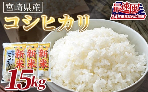 ＜令和7年度産新米　宮崎県産コシヒカリ　15kg＞14営業日以内に順次出荷【 国産 米 お米 最速便 白米 精米 こしひかり ごはん ご飯 白飯 食品 】