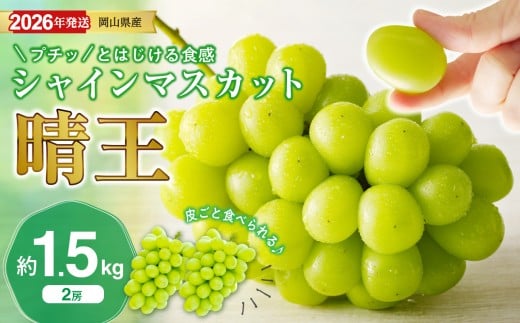 【2026年発送分 先行受付スタート！】岡山県産シャインマスカット「晴王」秀品　約1.5kg（2房）（令和8年8月中旬～11月中旬頃発送）【 シャインマスカット 晴王 フルーツ 果物 くだもの 葡萄 ぶどう 御中元 ギフト プレゼント 御祝 岡山県産 秀品 種無し 高糖度  】hz-s