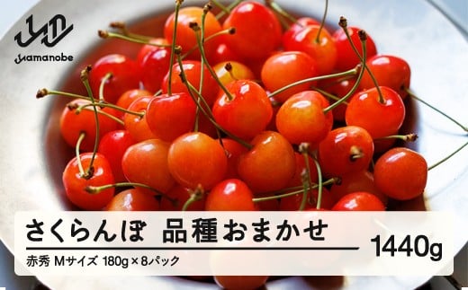 【先行予約】 さくらんぼ 品種おまかせ 赤秀品 M玉 180g×8パック ご家庭用 2026年産 令和8年産 山形県産 mm-saoam1440