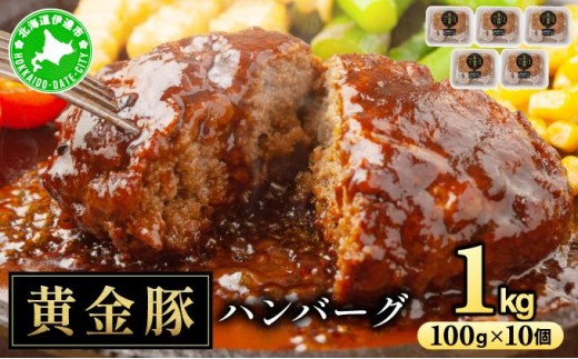 北海道 伊達 黄金豚 ハンバーグ 100g×10個(計1kg) 小分け 真空 お肉 豚肉