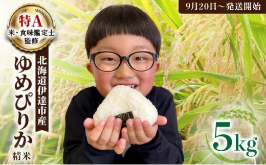 令和7年産 《9月20日発送開始》ゆめぴりか精米 5kg 生産者直送 北海道伊達産 | 北海道のブランド米 もっちり食感 冷めても美味しい
