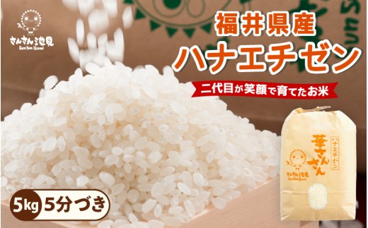 [令和7年産・新米]ハナエチゼン 5kg 華越前 〜坂井市三国町産・こだわりの精米対応〜 (5分づき) [A-0255_03]