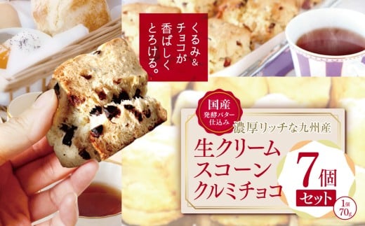 国産発酵バター仕込み濃厚リッチな九州産生クリームスコーン クルミチョコ7個セット | お菓子 菓子 おかし 洋菓子 焼き菓子 イギリス菓子 チョコスコーン クルミ おやつ デザート スイーツ 手作り ティータイム アフタヌーンティー 大分県 中津市 送料無料