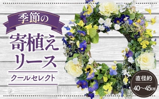 No.148 【季節の寄植えリース】クールセレクト＊花工房すなが＊