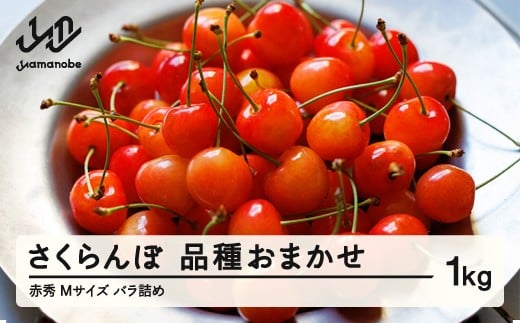 【先行予約】 さくらんぼ 品種おまかせ 赤秀 M玉 1kg バラ詰 ご家庭用 2026年産 令和8年産 山形県産 mm-saoam1000