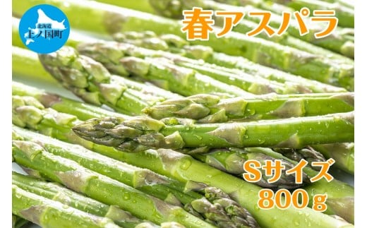 [2026年春発送]寅福菜園の朝採り春アスパラ S(800g) グリーンアスパラ 朝採れ 農家直送 新鮮 甘い 春野菜 旬野菜 特産品 北海道産