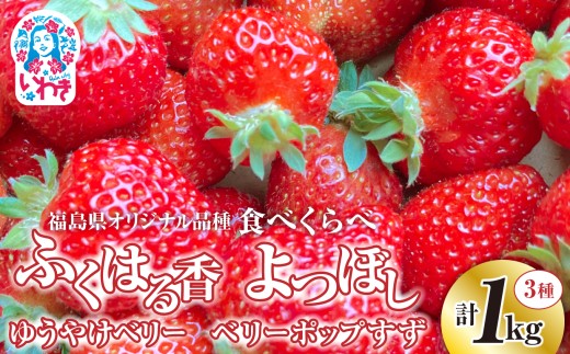 〈先行予約〉【産地直送】いわき市産いちご「ふくはる香」「よつぼし」「ゆうやけベリー」「ベリーホップすず」の食べ比べセット1kg（250g×4パック） 851048 - 福島県いわき市