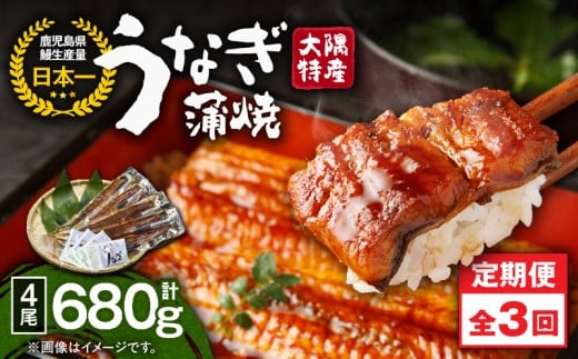 2485 【定期3回】大隅特産うなぎ蒲焼4尾（680g）【国産】　KN060-T09