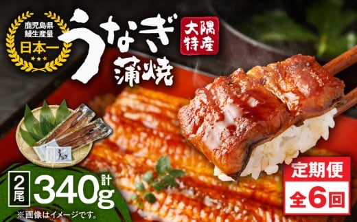 2480 【定期6回】大隅特産うなぎ蒲焼2尾（340g）【国産】　KN060-T04