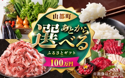 【あとから選べる】山都町ふるさとギフト 100万円分 米 牛肉 有機野菜 あか牛 馬刺し 定期便 山都 [YZX008]